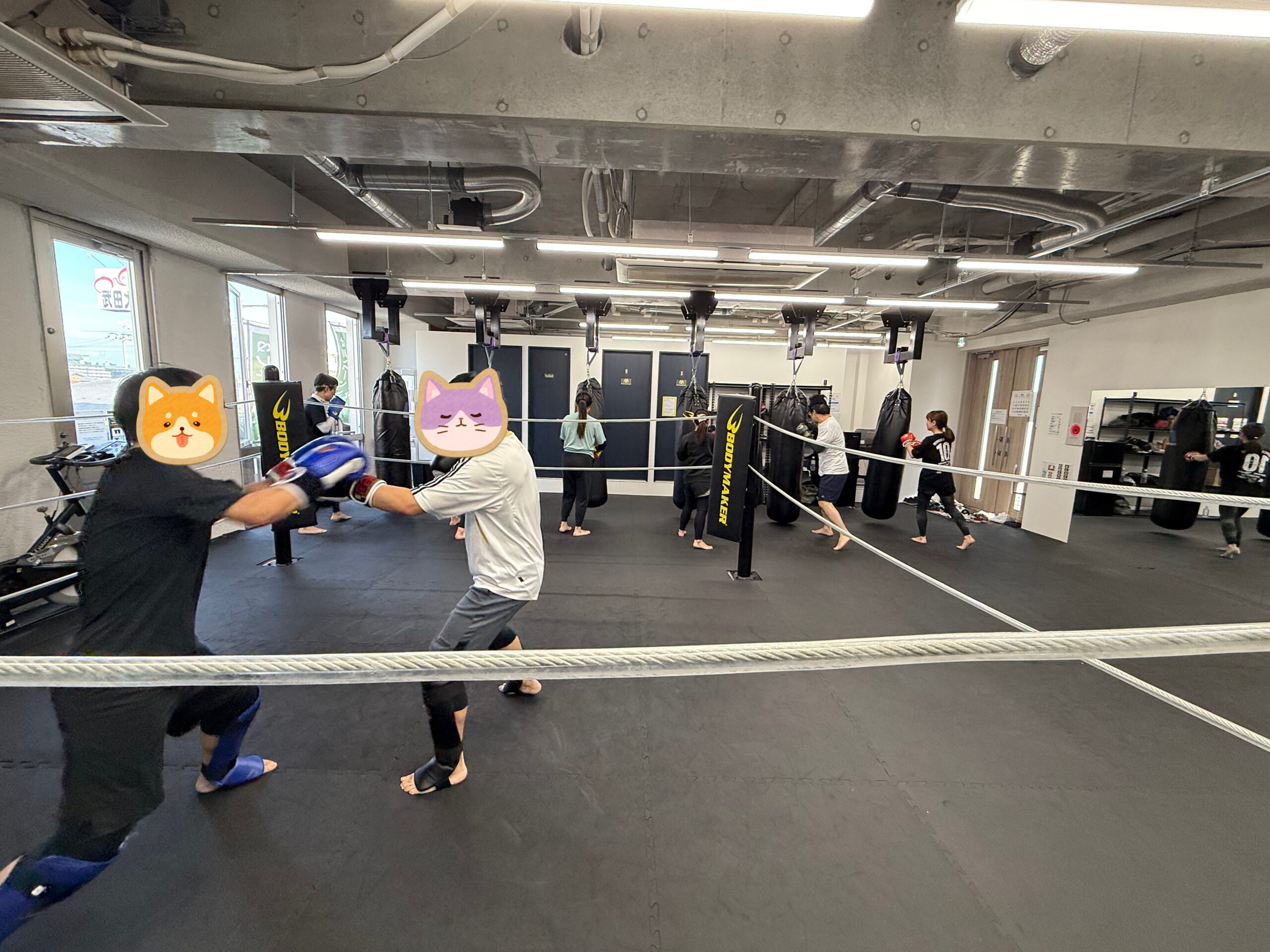 連休合間の日曜日のジムの様子✨